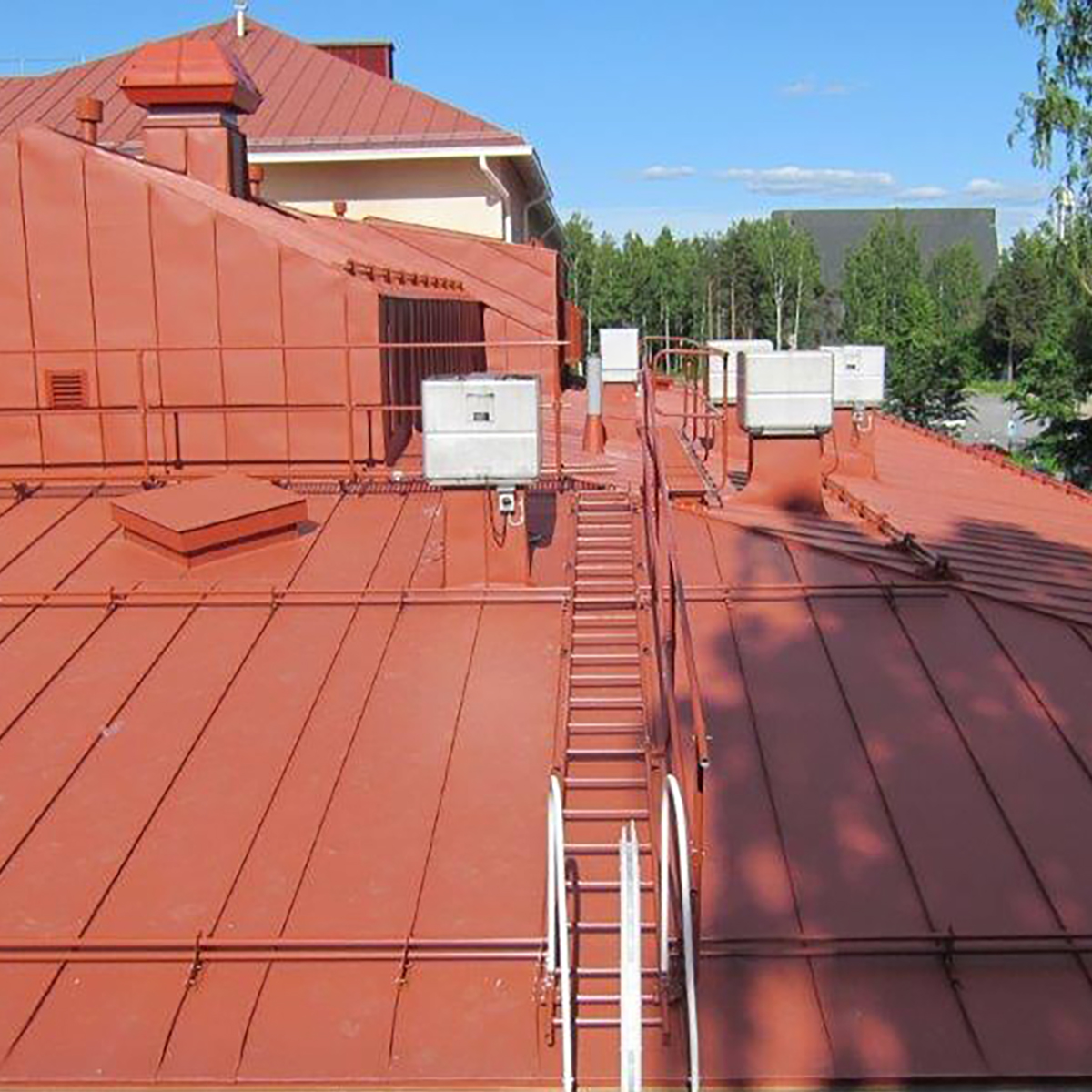 Seinätikkaat ja lapetikkaat turvakaiteella taloyhtiön katolla