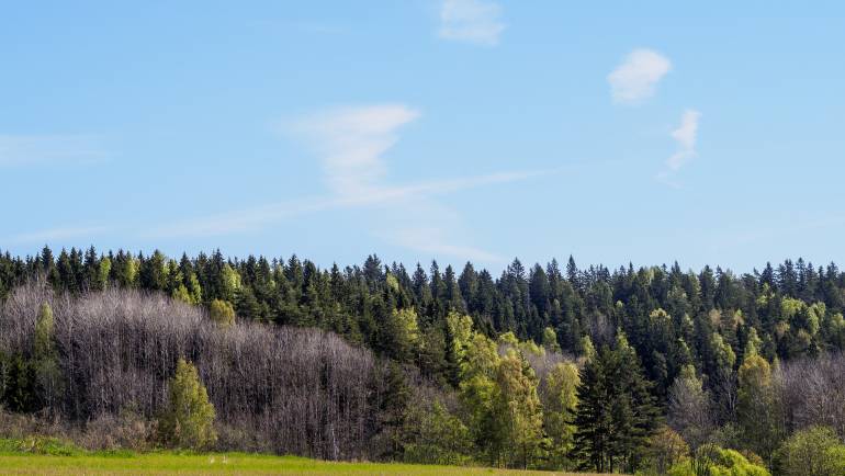 Koronaviruksen vaikutukset toimintaamme